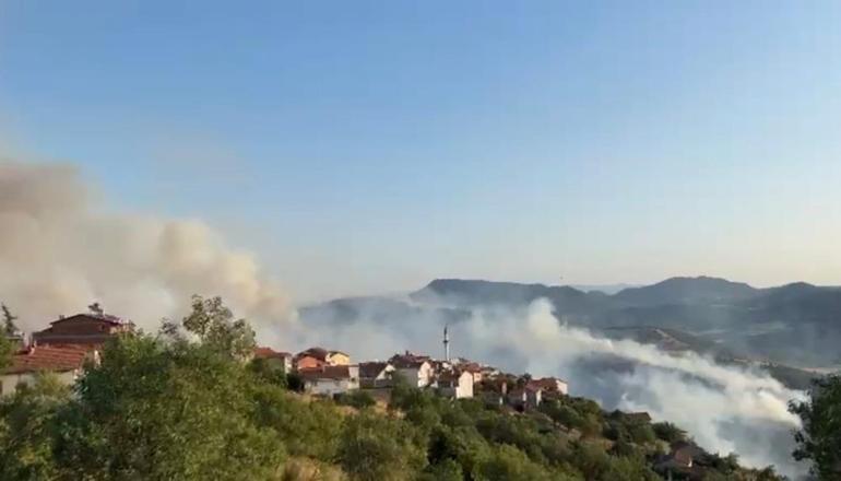 Ciğerlerimiz yanıyor Bursa-Balıkesir sınırı ve Tekirdağda orman yangını