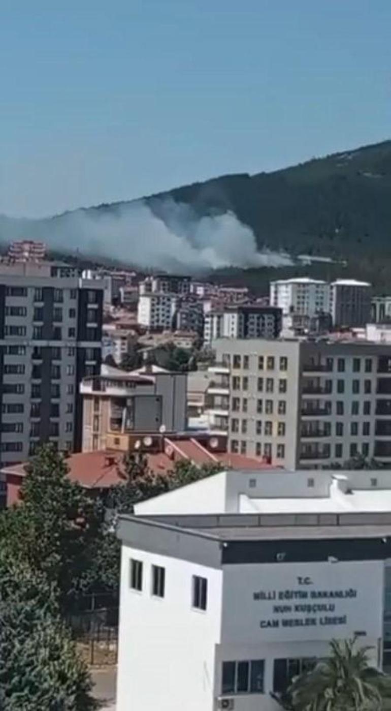 SON DAKİKA... İstanbul Aydos Ormanında yangın