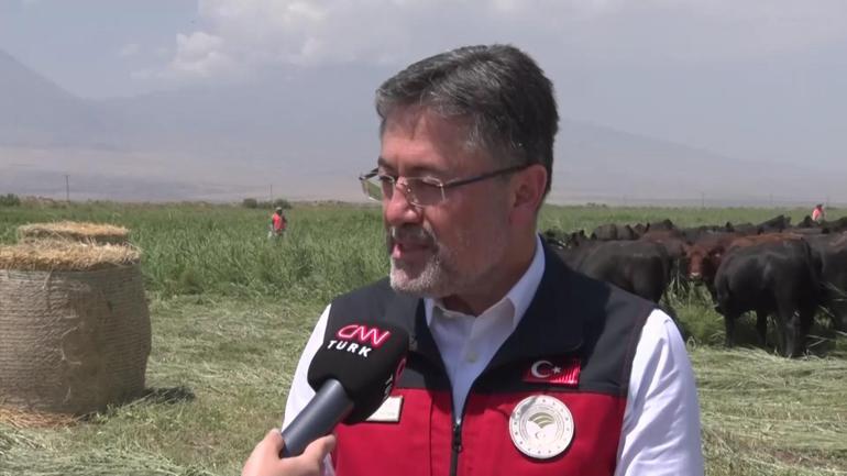  Kırsalda bereket, hayvancılığa destek