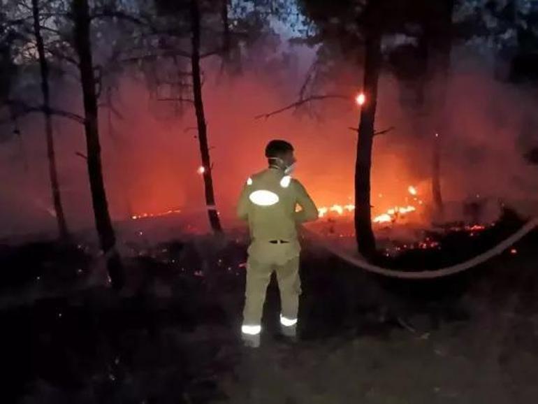 Son dakika: Sakarya yangını Sakarya Geyvede orman yangını Alevler rüzgarın etkisiyle yayıldı