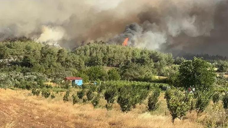 Son dakika: Sakarya yangını Sakarya Geyvede orman yangını Alevler rüzgarın etkisiyle yayıldı