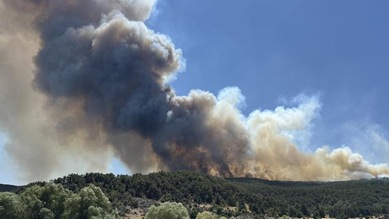 10 kişinin şehit olduğu bölgeden kurtulan şoför o anları anlattı: Arkadaşlarla beraber helalleştik