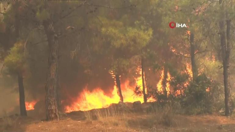 SON DAKİKA... İzmir, Antalya ve Muğlada yangın İşte son durum...