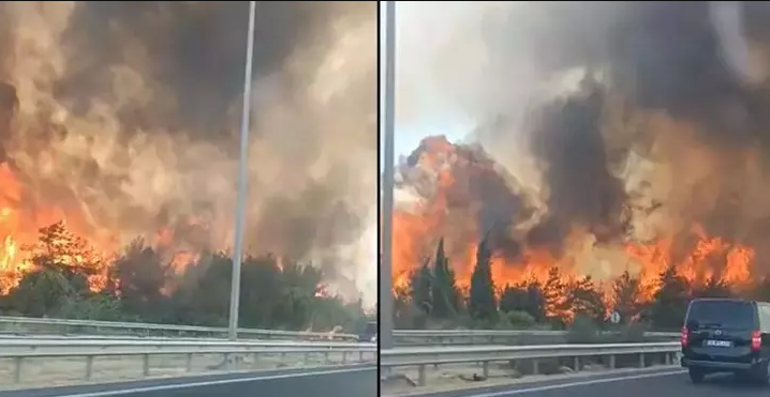 SON DAKİKA... İzmir, Antalya ve Muğlada yangın İşte son durum...