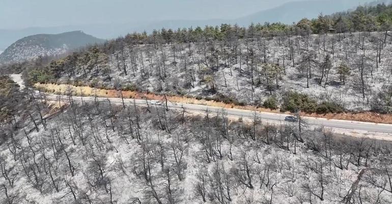 YEŞİL DOĞA SİYAHA DÖNDÜ İşte yangından sonra Bursa...