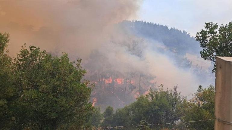  Bursa Gürsu, Kestel, Orhaneli, Harmancık yangınları söndürüldü mü