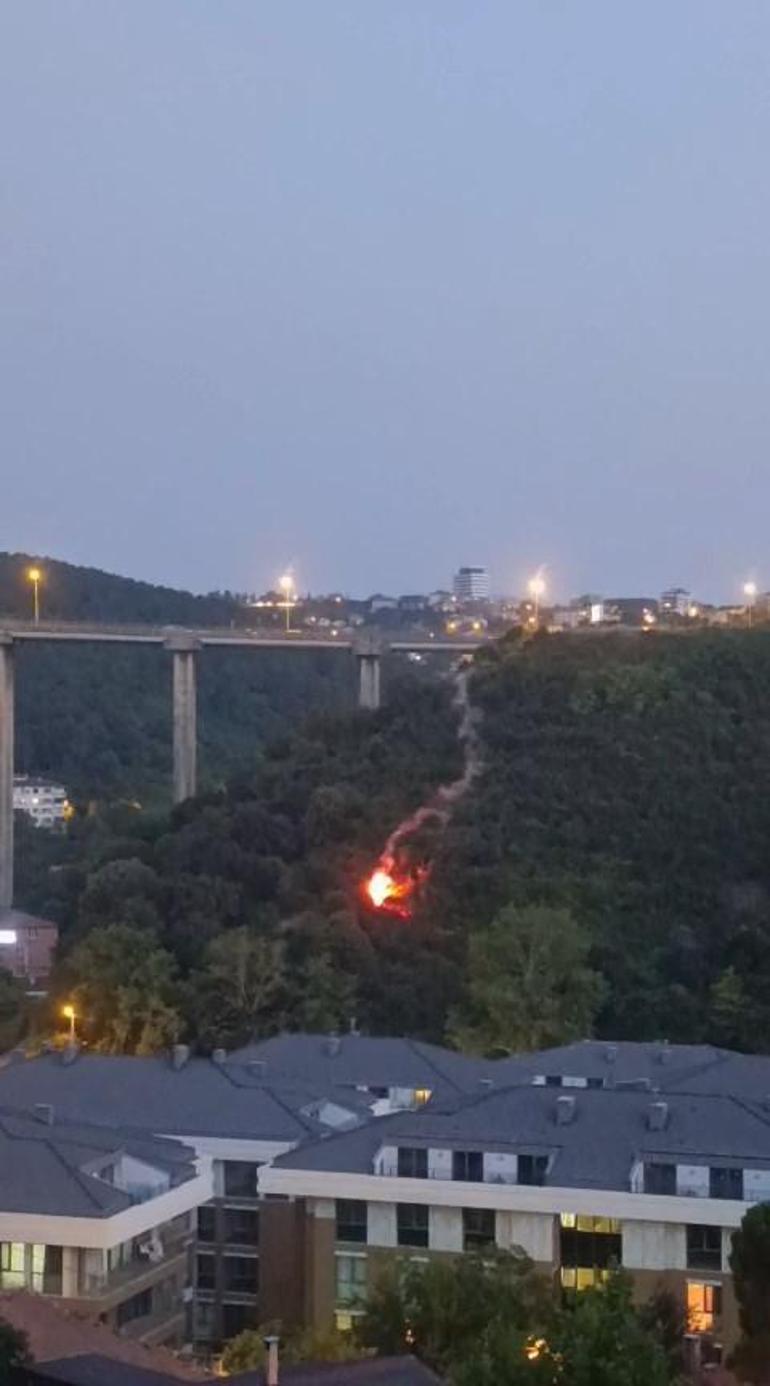 Beykoz’da fişekle ormanı yakan kişi tutuklandı