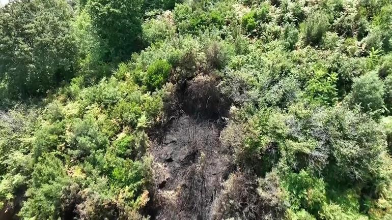 Ormanı yakan o fişek neden atıldı