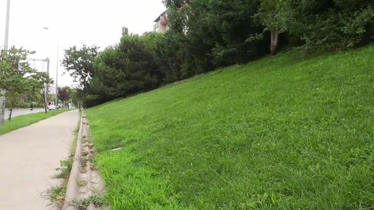 Su kaynakları alarm veriyor: Çözüm sünger şehirler ve yağmur hasadı mı