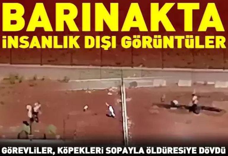 12 Ağustos 2025 Salı gününün son dakika önemli gelişmeleri (CNN TÜRK 11.30 bülteni)