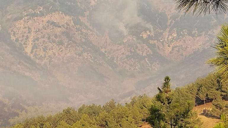 CANLI | Hatay ve Mersindeki orman yangınında ikinci gün: Müdahale sürüyor