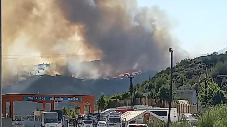 Ciğerlerimiz yanıyor... Suriyede çıkan orman yangını Türkiyeye sıçradı