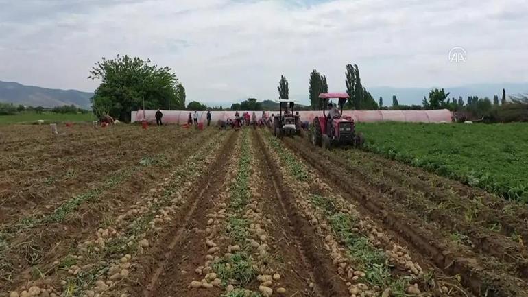 Bakan Yumaklı duyurdu… Batman’a dev tarım tesisi geliyor