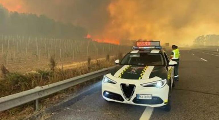 İspanya 14 farklı noktada orman yangını: 7 can kaybı