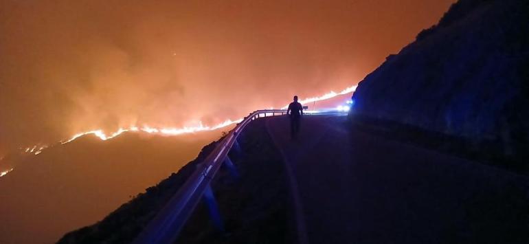 İspanya 14 farklı noktada orman yangını: 7 can kaybı