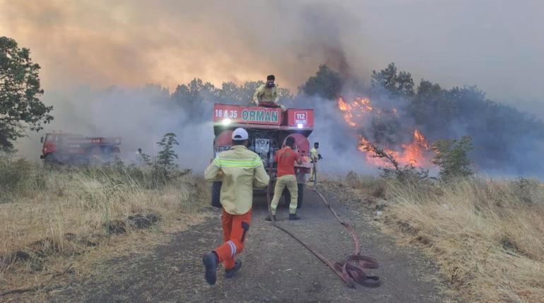 Bursada orman yangını: Müdahale sürüyor