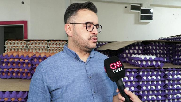 Yumurta fiyatlarındaki dalgalanmanın nedeni ne