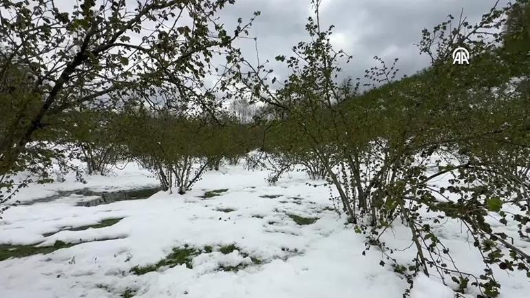 Gıdada fahiş fiyata önlem ne