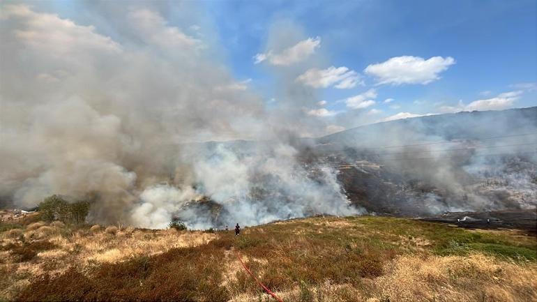 Kocaelide ot yangını paniği Alevler barakalara sıçradı