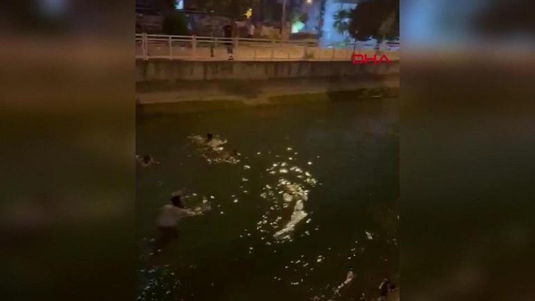 Adana’da film gibi olay: Polisten kaçtı, kanalda mahsur kaldı