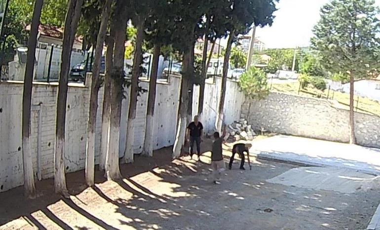 O anlar kamerada: Belediye Başkanı zabıtalara saldırdı