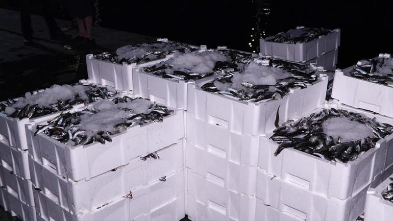 VİRA BİSMİLLAH Balık sezonu başladı: Hangi balıklar ağlara takıldı