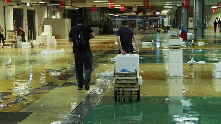 VİRA BİSMİLLAH Balık sezonu başladı: Hangi balıklar ağlara takıldı