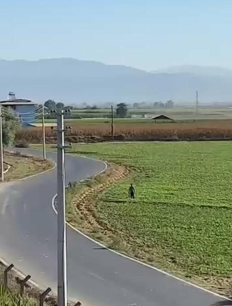 Eğitim için havalanan helikopter mısır tarlasına düştü: Pilot hayatını kaybetti