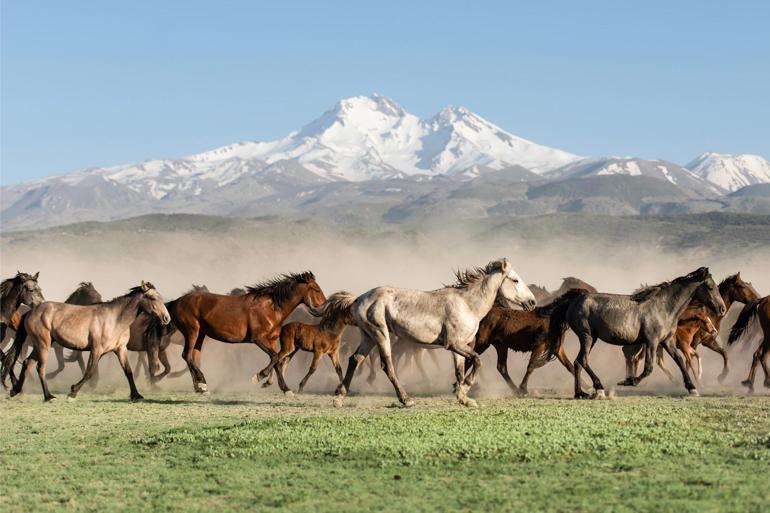 Kayseri ilk kez Kültür Yolunda: Açılışı Bakan Ersoy gerçekleştirdi
