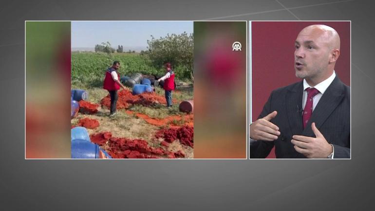 Etten sonra salçada hilecilik: Domates posası satıldı