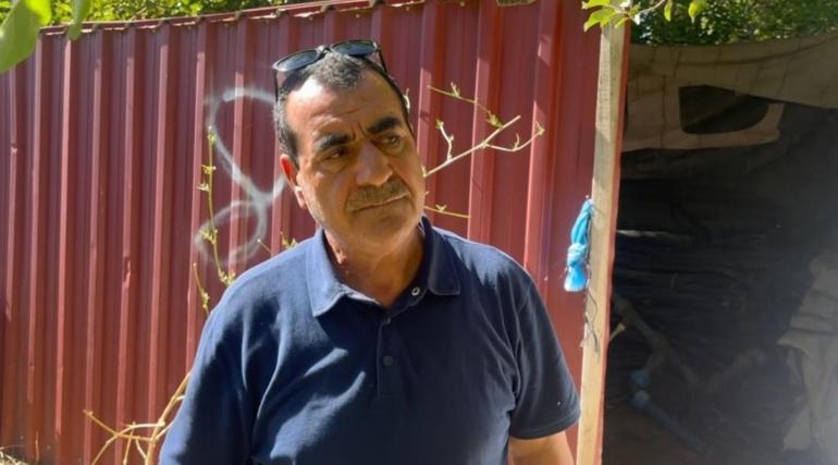 Erzincanda başıboş köpek vahşeti: 6 kuzu telef oldu