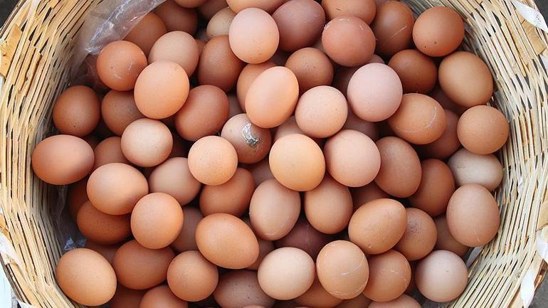 Yumurta fiyatında dikkat çeken artış: Nedeni belli oldu