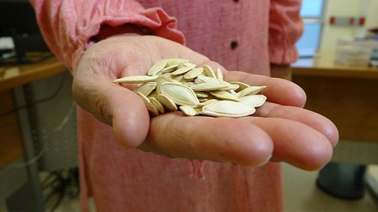 Aylarca kanser sandılar Gerçek kabak çekirdeği çıktı