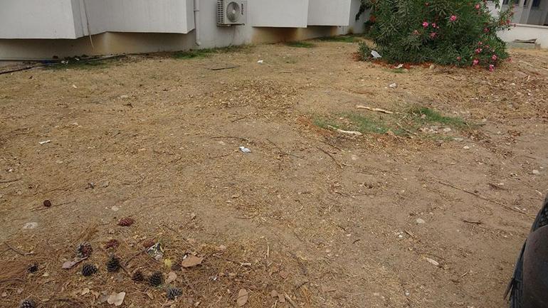  Bilimsel kazıyla çıkarılacak...