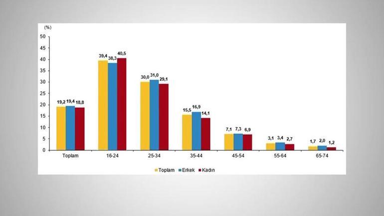 TÜİK’ten ilk kez yapay zeka verisi
