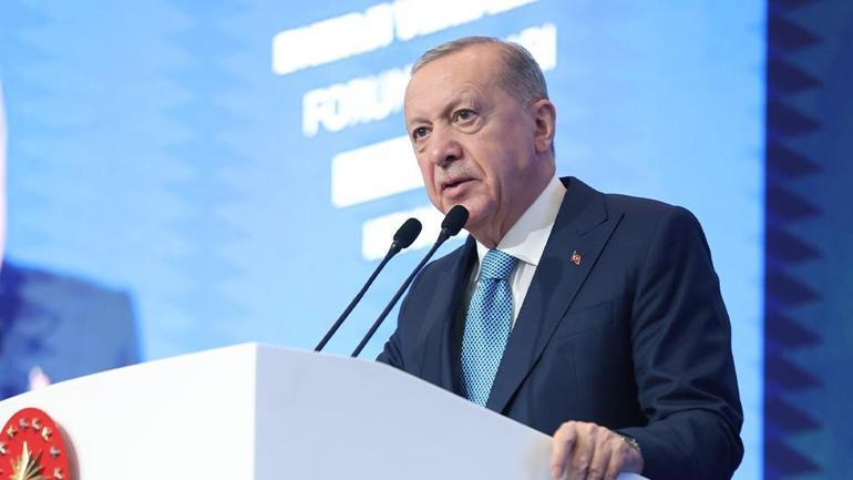 Cumhurbaşkanı Erdoğan: Doğal gaz almak bakkaldan gazoz almaya benzemez