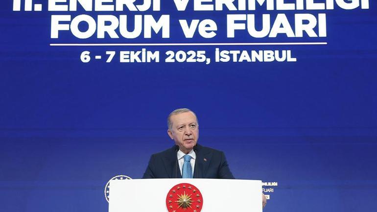 Cumhurbaşkanı Erdoğan: Doğal gaz almak bakkaldan gazoz almaya benzemez