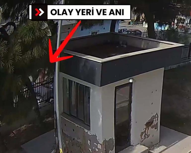 Çocuğunun annesi Gülbeni sokak ortasında bıçakla öldüren caninin akılalmaz savunması