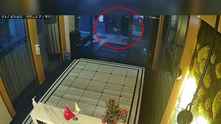 Organize suç örgütlerine operasyon: 165 şüpheli yakalandı