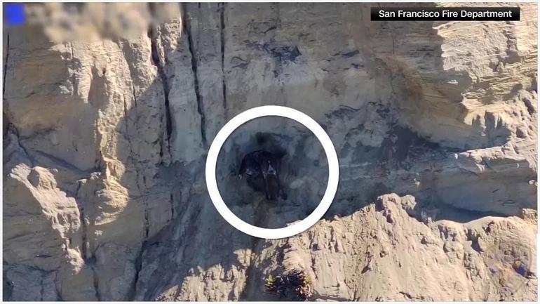 Film gibi anlar Mahsur kalan köpek böyle kurtarıldı