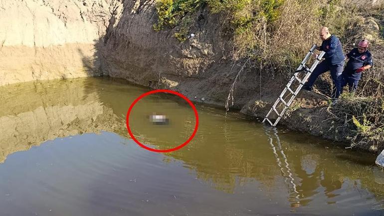 Su dolu çukurda dehşet: Kadın cesedi çıktı
