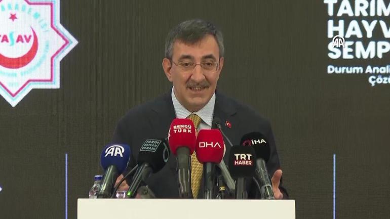 AK Parti iktidarının 23üncü yılı