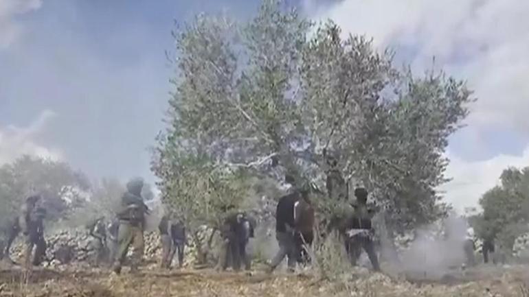 İsrailin zeytin ağaçları ile derdi ne Filistinli çiftçilere yerleşimci zulmü