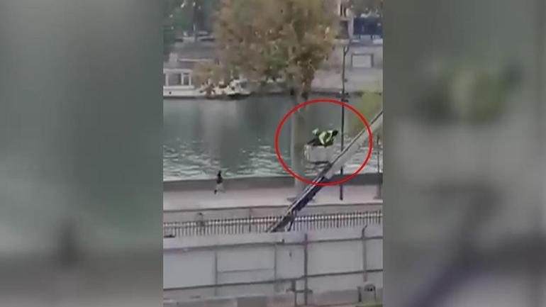 Louvre soyguncusu fenomen çıktı