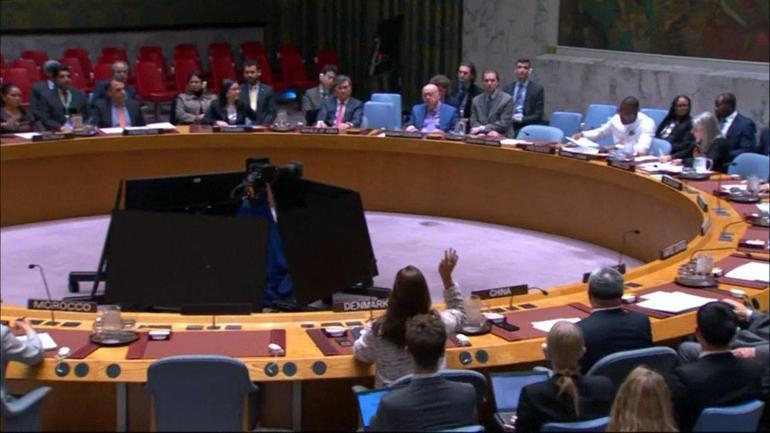 BM Güvenlik Konseyinden Suriye kararı