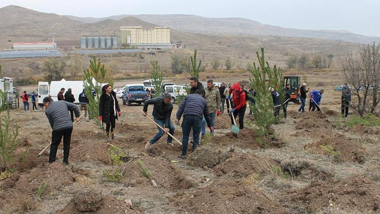 11 Kasım Milli Ağaçlandırma Günü: 3,2 milyon fidan toprakla buluşacak
