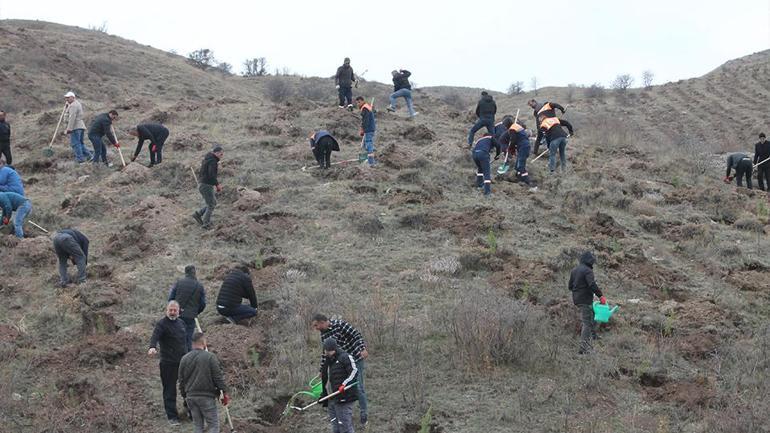11 Kasım Milli Ağaçlandırma Günü: 3,2 milyon fidan toprakla buluşacak