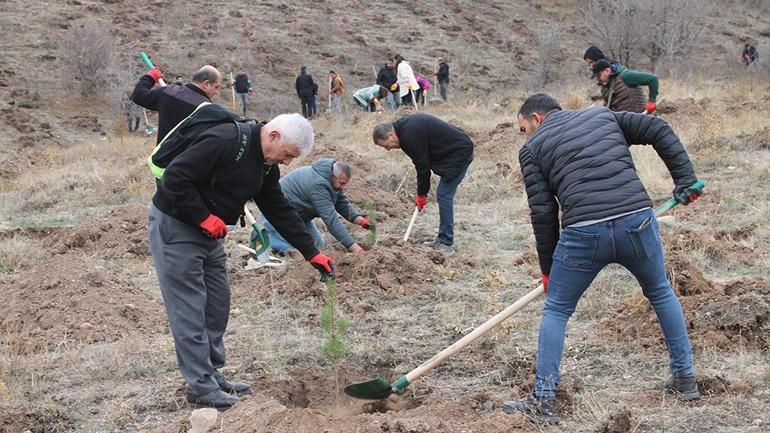 11 Kasım Milli Ağaçlandırma Günü: 3,2 milyon fidan toprakla buluşacak