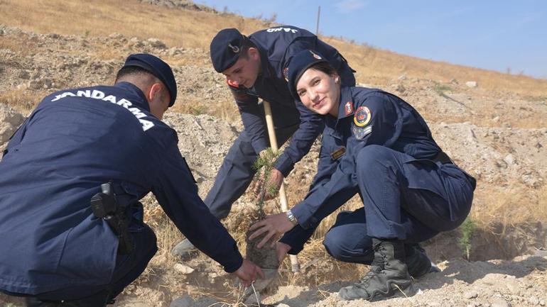 11 Kasım Milli Ağaçlandırma Günü: 3,2 milyon fidan toprakla buluşacak