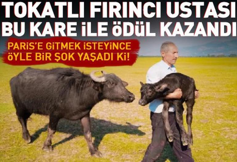 14 Kasım 2025 Cuma gününün son dakika önemli gelişmeleri (CNN TÜRK 11.30 bülteni)